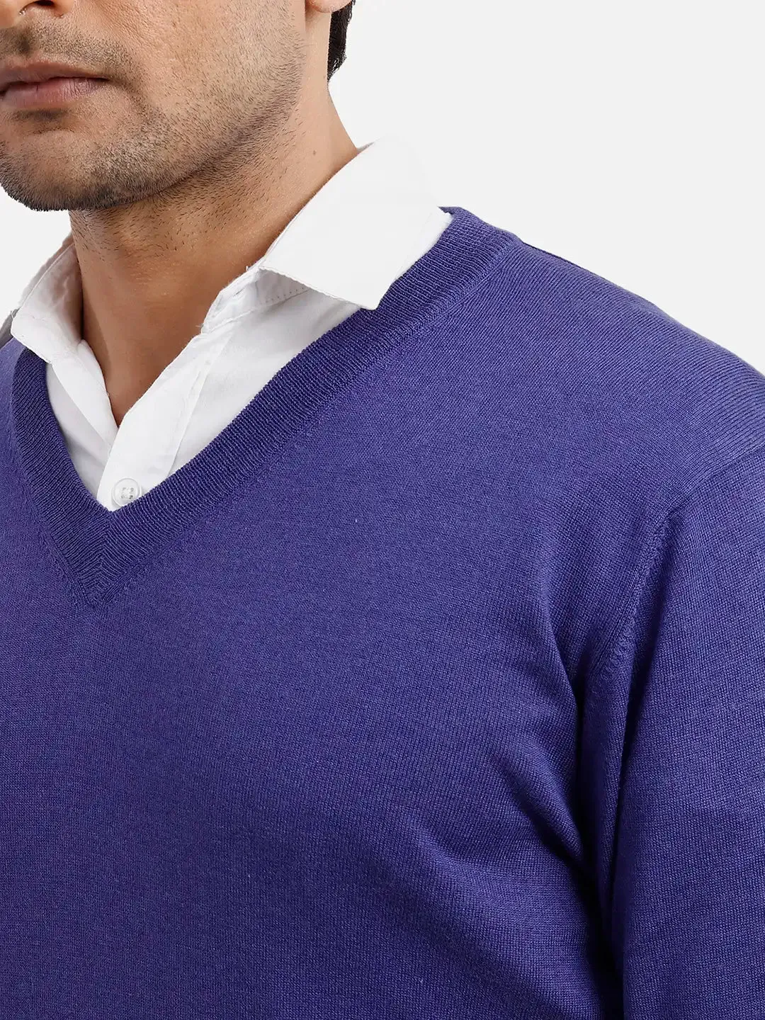 Colorplus Men Blue Solid Regular Fit Silk Blend Full Sleeve V Neck Sweaters