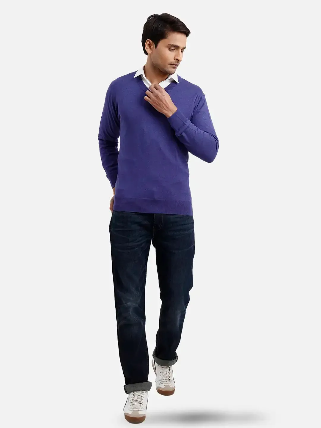 Colorplus Men Blue Solid Regular Fit Silk Blend Full Sleeve V Neck Sweaters