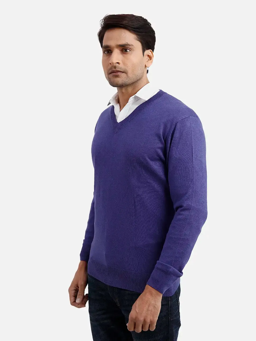 Colorplus Men Blue Solid Regular Fit Silk Blend Full Sleeve V Neck Sweaters