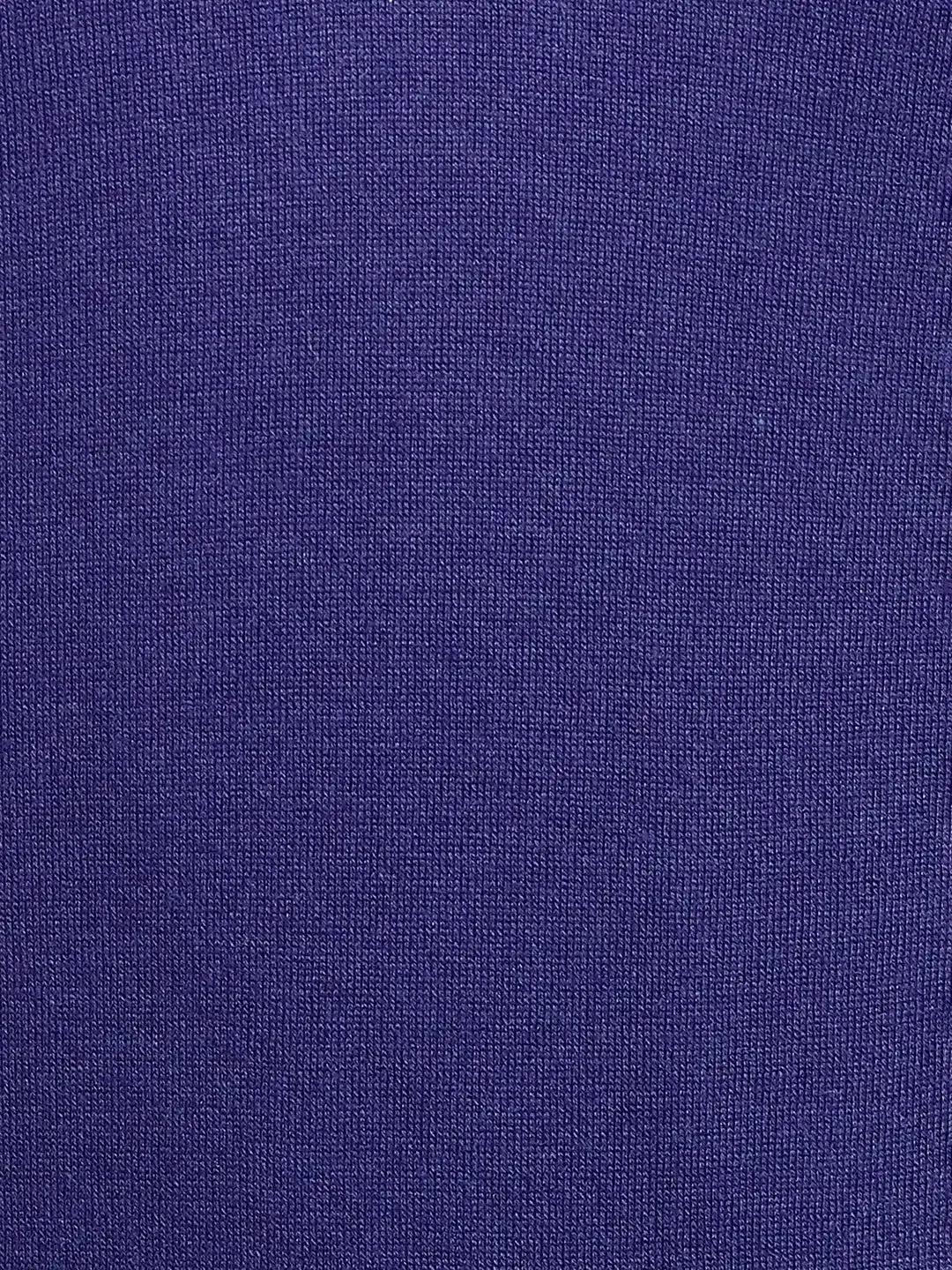 Colorplus Men Blue Solid Regular Fit Silk Blend Full Sleeve V Neck Sweaters